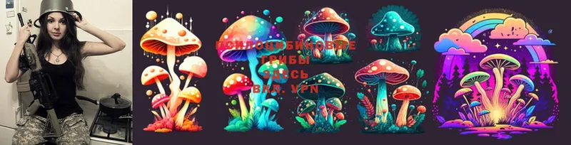 наркотики  Болгар  blacksprut tor  Псилоцибиновые грибы Psilocybine cubensis 